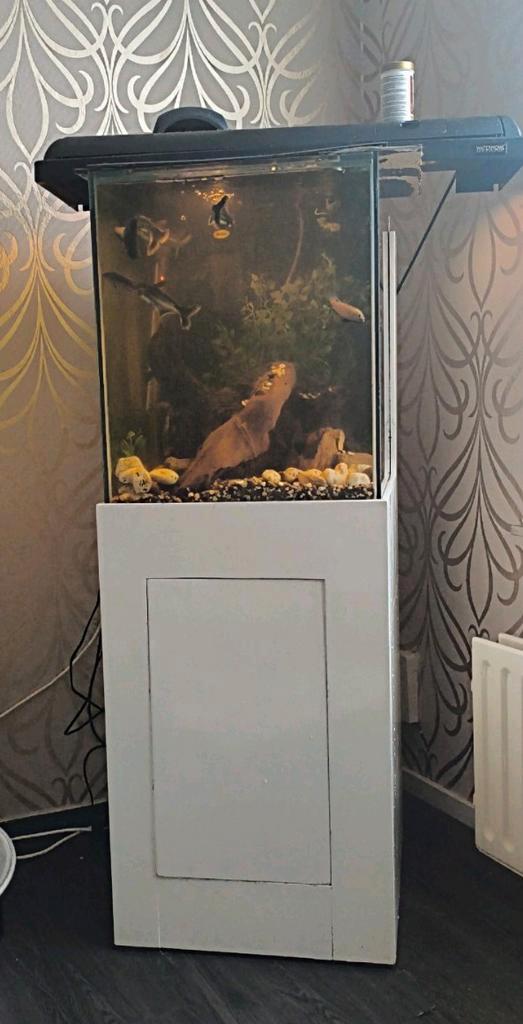 Aquarium met toebehoren en vissen, Dieren en Toebehoren, Reptielen en Amfibieën | Toebehoren, Gebruikt, Overige typen, Ophalen