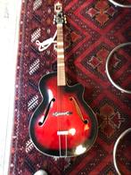 Framus Gitaar, sixties,, Ophalen of Verzenden, Gebruikt, Akoestisch, 6-snarig