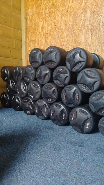 Lifemaxx dumbells / dumbellset 30kg t/m 50kg totaal 880KG beschikbaar voor biedingen