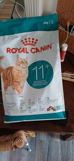 Royal Canin, Ophalen, Kat