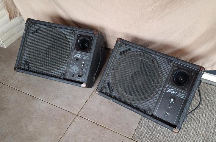 Peavey ES-12PM monitor set, Audio, Tv en Foto, Luidsprekers, Gebruikt, Front, Rear of Stereo speakers, 120 watt of meer, Overige merken