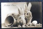 Twee schattige konijnen brengen een paasgroet, 1911, Verzamelen, Ansichtkaarten | Dieren, Gelopen, Knaagdier, Voor 1920, Verzenden