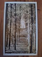 Fotokaart Austerlitz - Pyramide, Verzamelen, Ansichtkaarten | Nederland, Ophalen of Verzenden, Gelopen, Utrecht