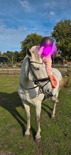 Hulp gezocht, Ophalen of Verzenden, Zo goed als nieuw