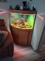 Aquarium jewel trigion 190, Dieren en Toebehoren, Ophalen, Gebruikt, Gevuld zoetwateraquarium