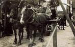 Onbekend Zeeland Walcheren klederdracht fotokaart, Zeeland, Ongelopen, Voor 1920, Verzenden