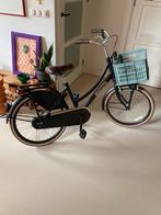 Popal meisjes fiets 22 inch met krat, Fietsen en Brommers, Fietsen | Meisjes, Ophalen, 22 inch, Gebruikt, Handrem