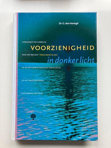 Voorzienigheid in donker licht - G. den Hartogh beschikbaar voor biedingen
