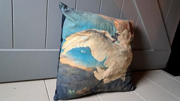 Div leuke sierkussens . beschikbaar voor biedingen