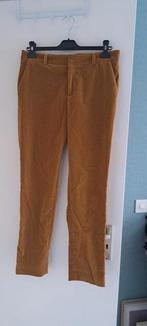Anecdote velvet, Kleding | Dames, Bruin, Ophalen of Verzenden, Zo goed als nieuw, Maat 36 (S)