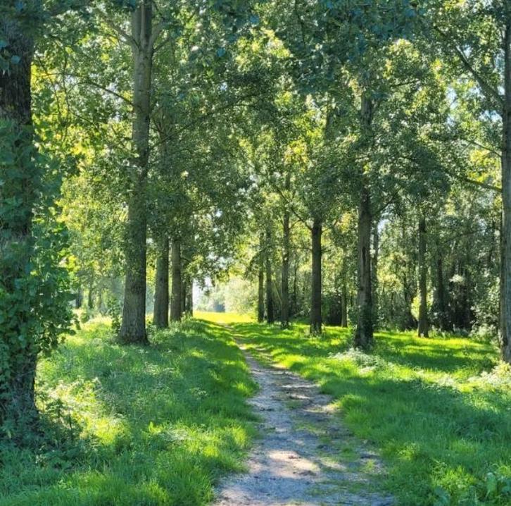 Tuinman/hovenier/tuinhulp gezocht aangeboden, Vacatures, Vacatures | Landbouw, Natuur en Milieu