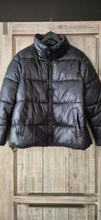 Zwart gewatteerd jack - L, Kleding | Dames, Jazlyn, Zwart, Maat 42/44 (L), Nieuw