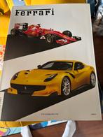 Ferrari Jaarboek 2015, Boeken, Auto's | Boeken, Ophalen of Verzenden, Zo goed als nieuw, Ferrari