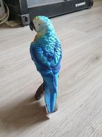 papegaai ara beeld op stam oranje blauw, Ophalen of Verzenden, Nieuw, Dier
