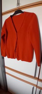 Oranje wollen vest - maat 38/40, Ophalen of Verzenden, Zo goed als nieuw, Maat 38/40 (M), Oranje