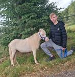 Mini paardje in de kleur perlino., Dieren en Toebehoren, Niet van toepassing, 0 tot 2 jaar, Hengst, A pony (tot 1.17m)