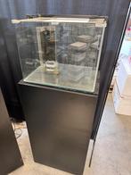 Complete dennerle scape 55, Ophalen, Zo goed als nieuw