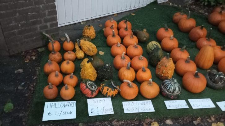 pompoen / pompoenen !!, Tuin en Terras, Tuinwanddecoratie, Ophalen