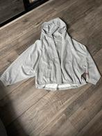 Nieuw vest Harper & Yve maat M, Ophalen of Verzenden, Nieuw, Maat 38/40 (M), Grijs