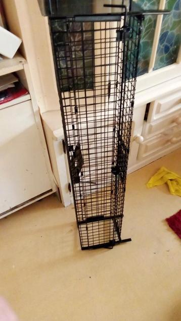 Katten of ratten val  beschikbaar voor biedingen