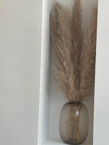 Vaas inclusief pampas  beschikbaar voor biedingen