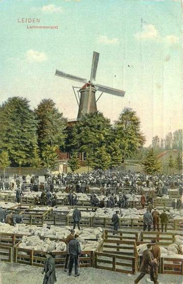 (380-834-023) Leiden Lammerenmarkt beschikbaar voor biedingen