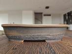 Artistieke ovale bonsai pot | Geglazuurd & handgemaakt., Ophalen of Verzenden, Zo goed als nieuw, Aardewerk, Minder dan 25 cm