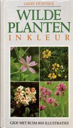 Wilde planten in kleur  Geert Hüsstege, Boeken, Ophalen of Verzenden, Zo goed als nieuw, Bloemen, Planten en Bomen