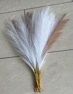 Decoratieve pluimen - wit en bruin ( nieuw), Huis en Inrichting, Ophalen of Verzenden, Nieuw