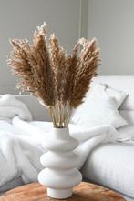 Pampas pluimen bos van 20, Huis en Inrichting, Woonaccessoires | Droogbloemen, Nieuw, Ophalen of Verzenden