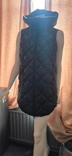 Lekker Lange Bodywarmer Maat 42 met Capuchon, Kleding | Dames, Bodywarmers, Ophalen, Zo goed als nieuw, Maat 42/44 (L), Zwart