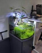 Aquarium + kast met plantjes, Dieren en Toebehoren, Vissen | Aquaria en Toebehoren, Ophalen