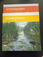 A.W.M. Dost - Schoolplaat In ons Land, 20e eeuw of later, A.W.M. Dost, Ophalen of Verzenden, Zo goed als nieuw