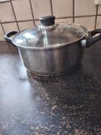 Kook pan, Huis en Inrichting, Keuken | Potten en Pannen, Ophalen, Zo goed als nieuw, Rvs, Kookpan of Snelkookpan