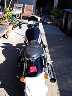 Harley Davidson, Motoren, Motoren | Harley-Davidson, 2 cilinders, Particulier, Meer dan 35 kW, Toermotor
