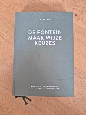Els van Steijn - De fontein, maak wijze keuzes beschikbaar voor biedingen