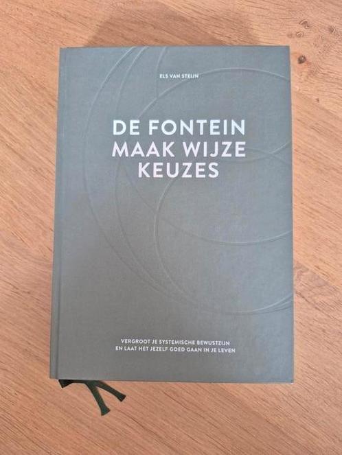 Els van Steijn - De fontein, maak wijze keuzes, Boeken, Psychologie, Zo goed als nieuw, Ophalen of Verzenden