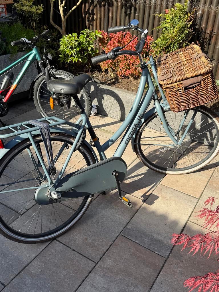 Cortina Meisjesfiets 26 inch met mandje, Ophalen, Gebruikt, 26 inch of meer