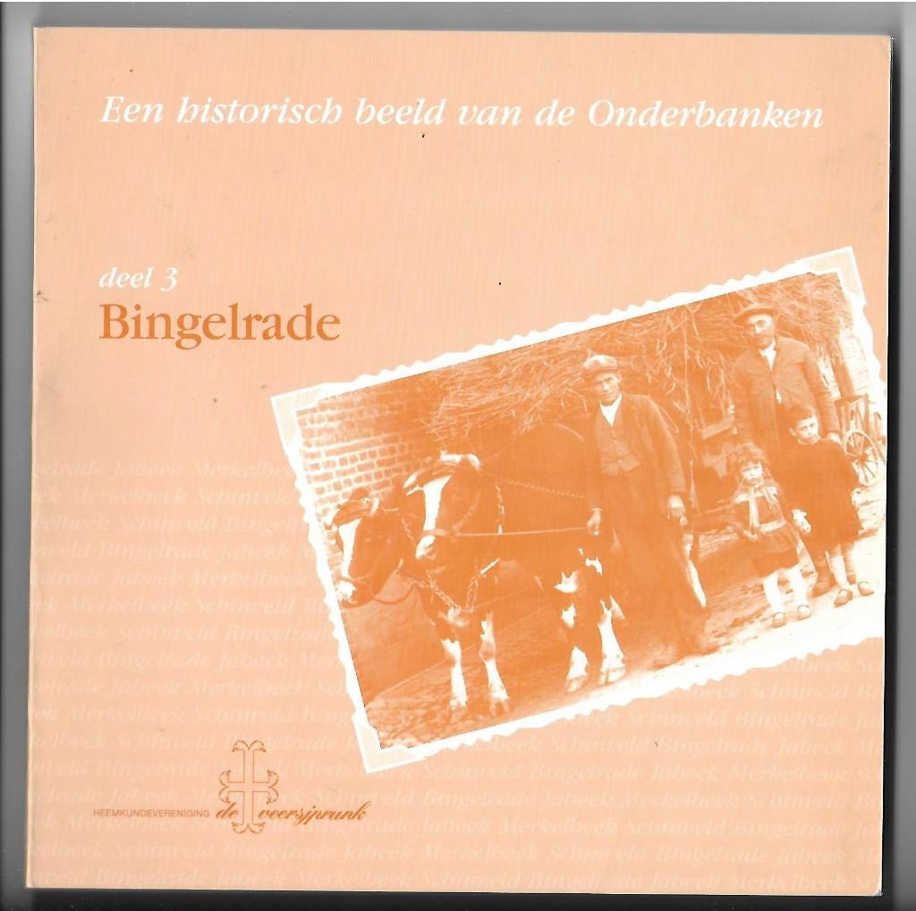 Bingelrade historisch (Zuid-Limburg Onderbanken Beekdaelen), Ophalen of Verzenden, Gelezen
