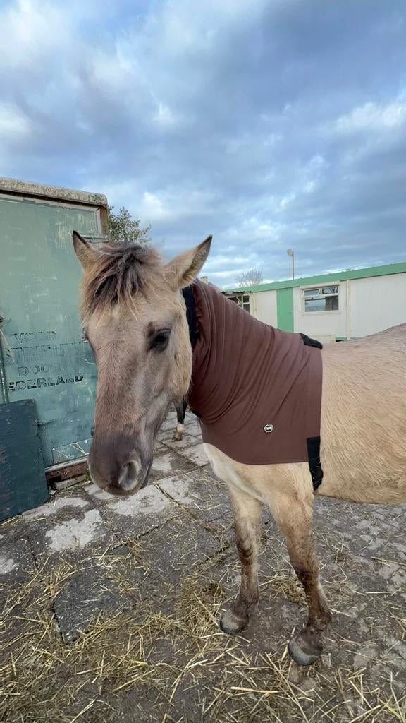 QHP eczeem halsstuk, Ophalen of Verzenden, Gebruikt
