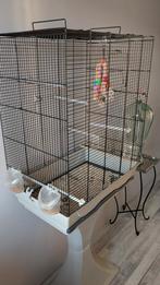 Vogelkooi, Ophalen of Verzenden, Zo goed als nieuw, Metaal, Vogelkooi