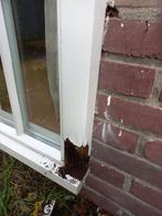 Houtrot, Ophalen of Verzenden, Zo goed als nieuw, Overige typen