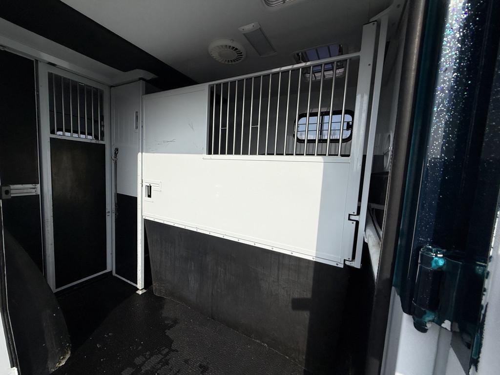 Renault Master | HORSETRUCK | MTM | STALLION 5XL | 2023 | HE, Dieren en Toebehoren, Weduwestraat 12
4884MV  WERNHOUT, NL, Paardenwagentje NL | MVV HORSETRUCKS