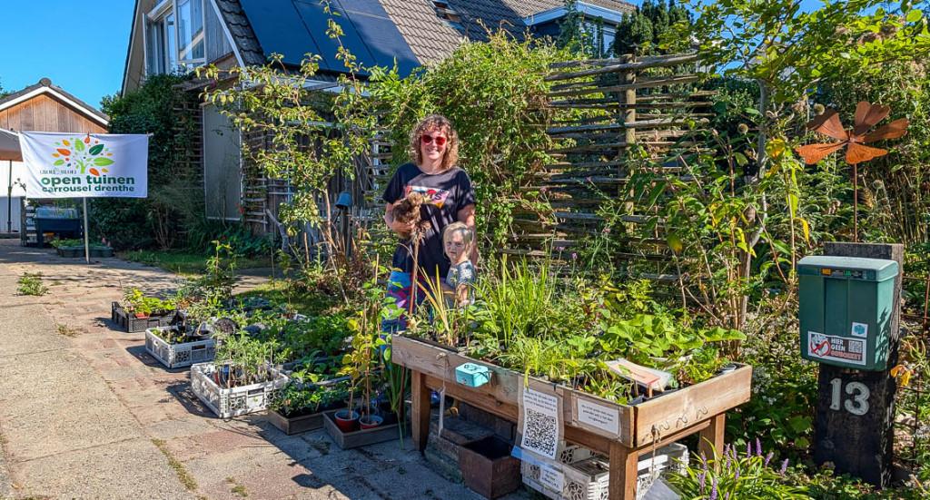 Tuinplanten biologisch gifvrij, Tuin en Terras, Planten | Tuinplanten, Vaste plant, Overige soorten, Volle zon, Ophalen