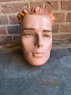 Hindsgaul display hoofd 2, Verzamelen, Ophalen of Verzenden, Nederland, Embleem of Badge