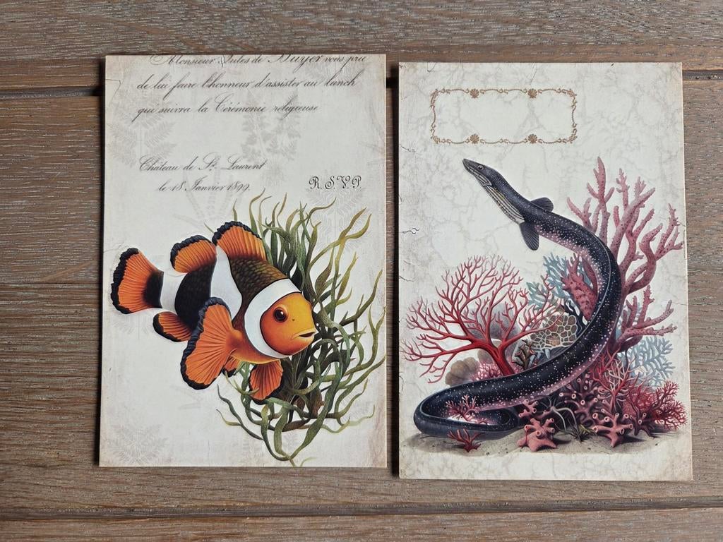 ONDER WATER A 3, Ophalen, Hond of Kat