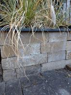 Tuinstenen voor muurtje, Tuin en Terras, Ophalen, Gebruikt, Overige typen