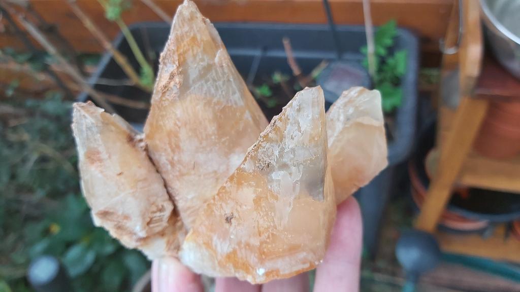 HM8 Dogtooth Calciet Tounfite Marokko verzameling collectie, Ophalen of Verzenden, Schelp(en)