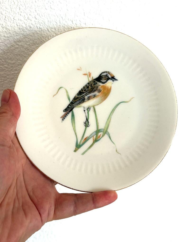 Set van 3 Vintage Vogelbordjes (o.a. Scherzer Bavaria), Bavaria, Gebruikt, Onbekend, Ophalen of Verzenden