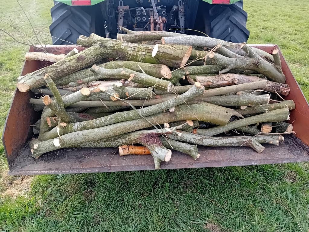 Brandhout, Minder dan 3 m³, Ophalen, Stammen